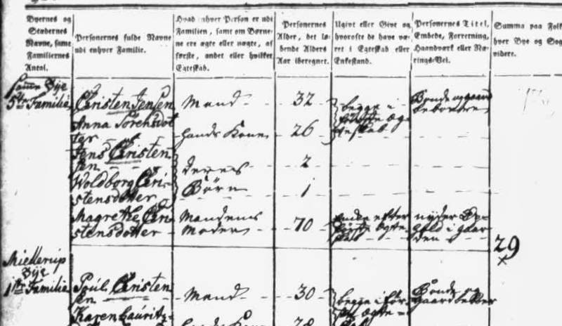 Udsnit af kirkebog, Folketælling 1787